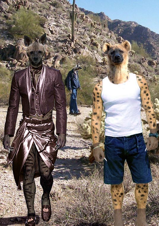 3 hyenaes