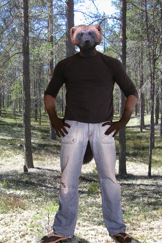 AJ
