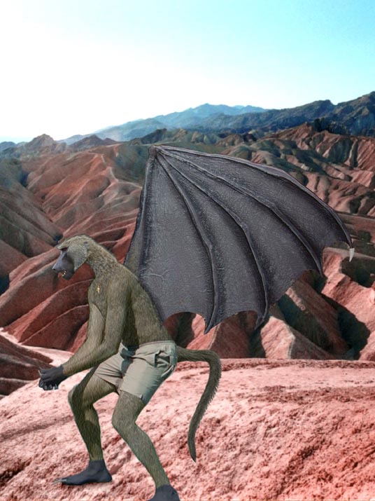 DeathZone_flyingBaboon_RL.jpg