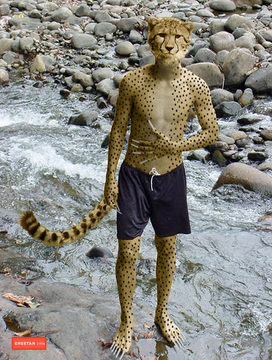 Drake_Meiller.jpg