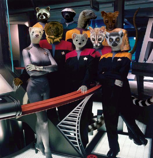 Furry_trek20041.jpg
