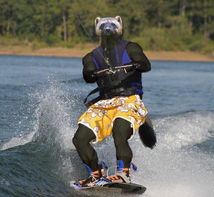 GZ
