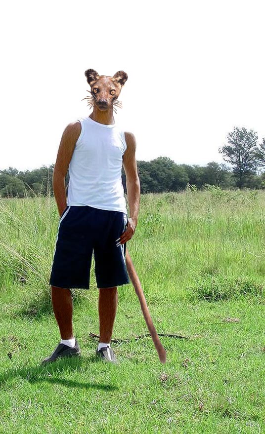 Gueney_Bhxystroll.jpg