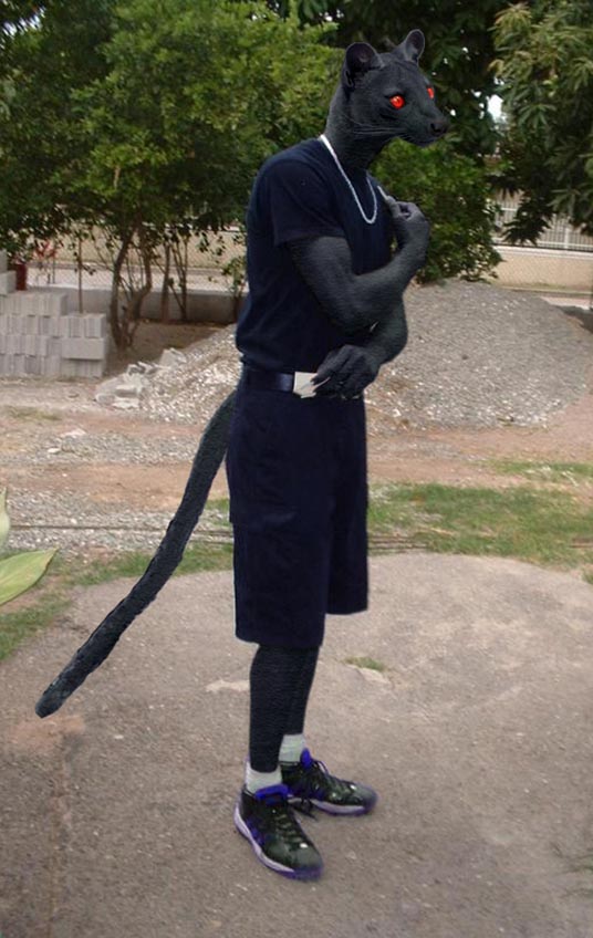 KROFYNNOWRINN_OLKARREY
