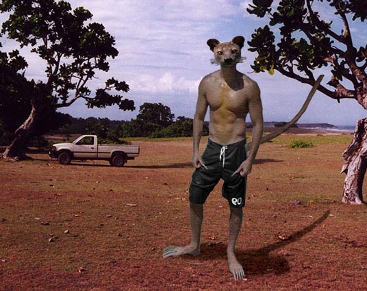 SERDLON_GREGBBERbreak_time.jpg