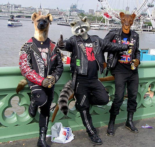 3Punks