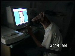 _Zaxtor_.jpg